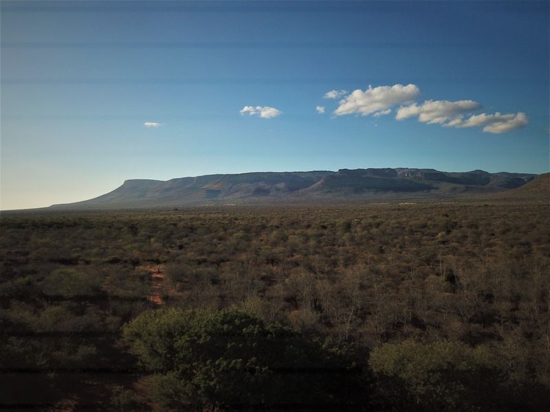 Farm For Sale in Vivo Central - Photo 4