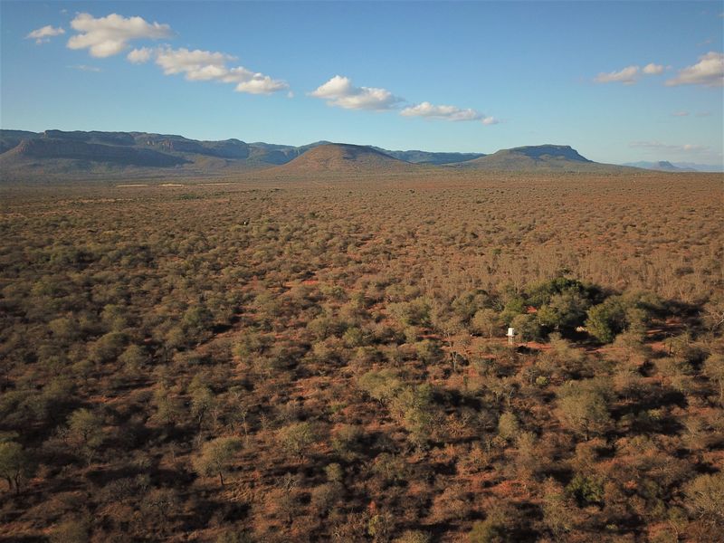 Farm For Sale in Vivo Central - Photo 6