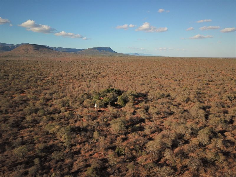 Farm For Sale in Vivo Central - Photo 7