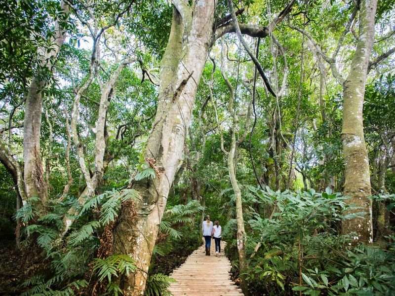 Vacant Land Residential For Sale in Elaleni Coastal Forest Estate - Photo 2