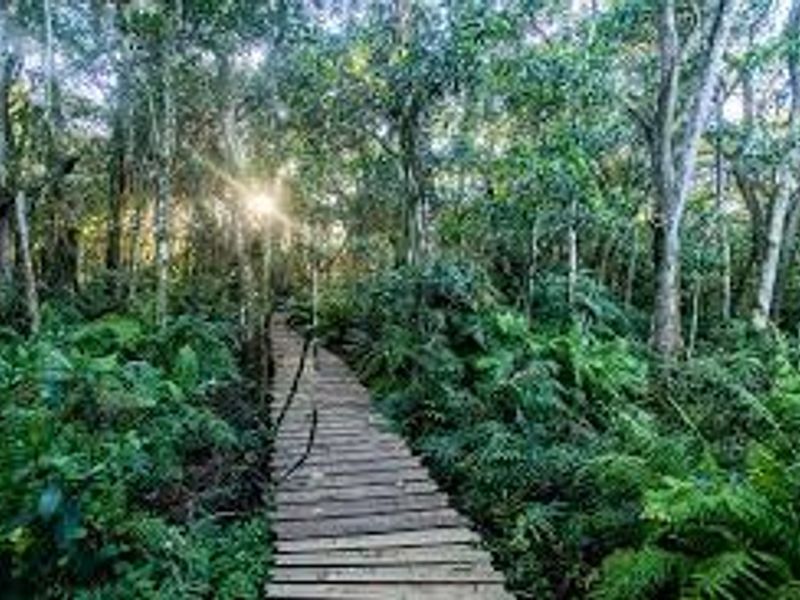 Vacant Land Residential For Sale in Elaleni Coastal Forest Estate - Photo 4