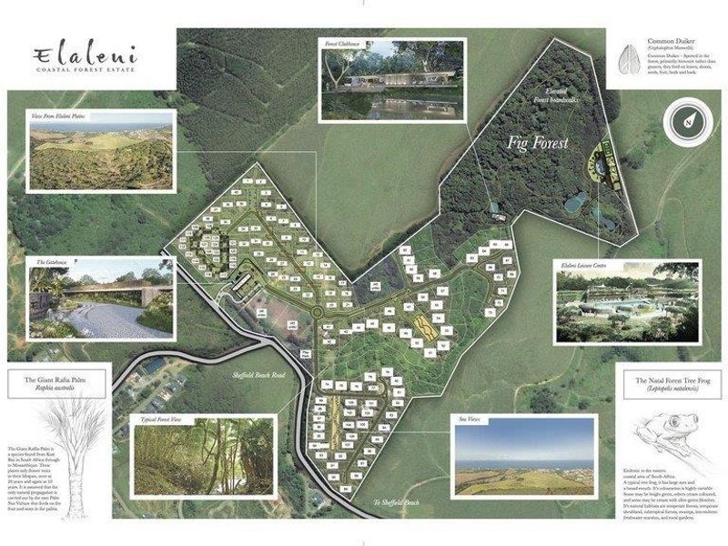 Vacant Land Residential For Sale in Elaleni Coastal Forest Estate - Photo 8