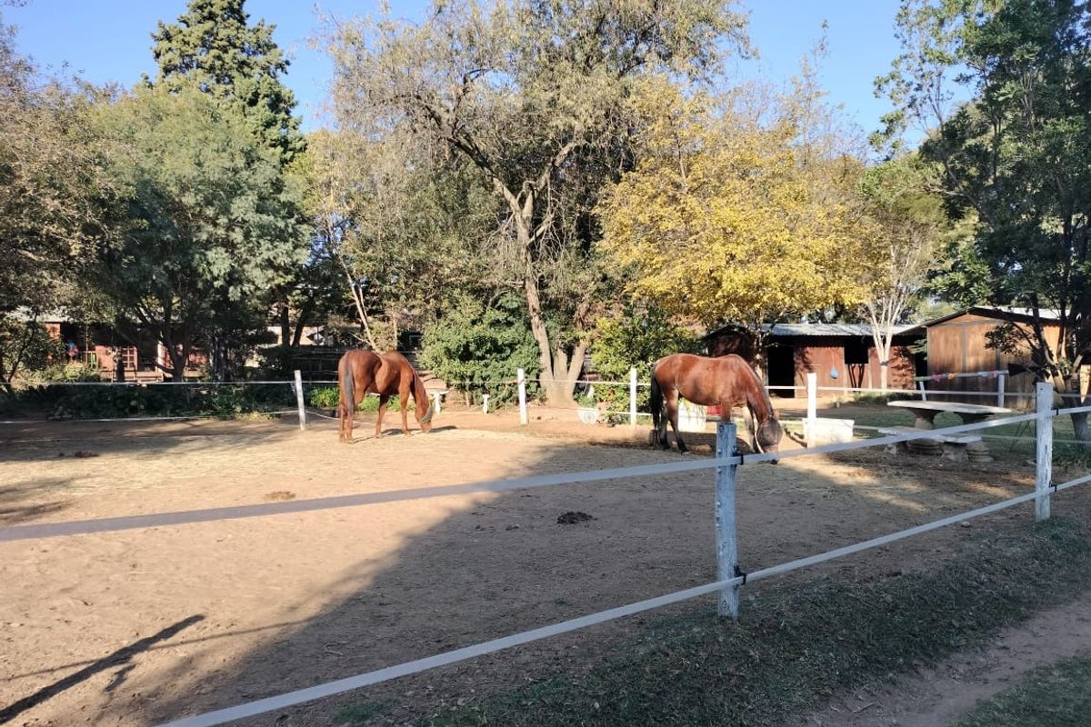 House For Sale in President Park - Photo 4