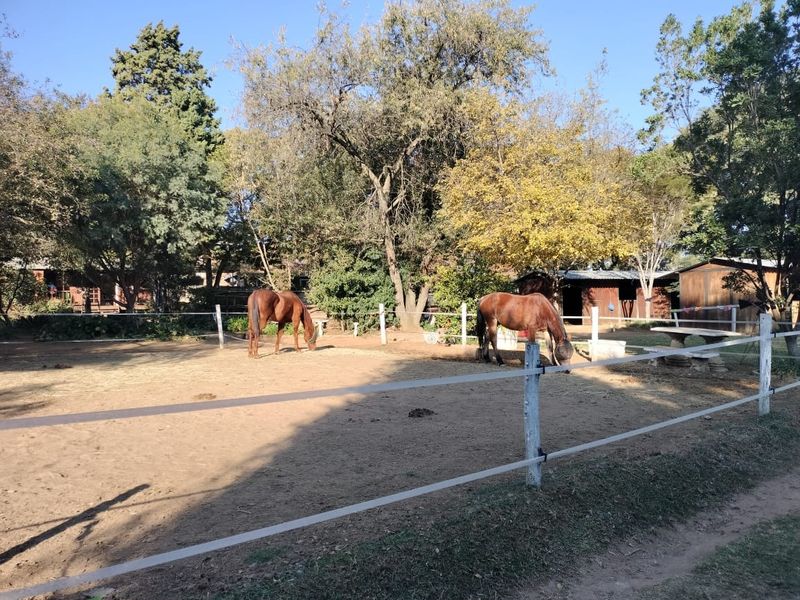 House For Sale in President Park - Photo 4