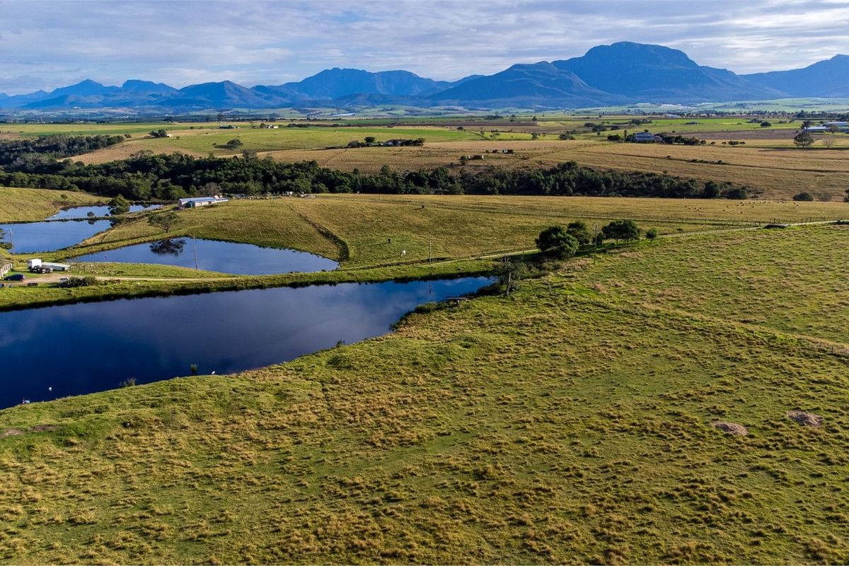 Farm For Sale in George Rural - Photo 5