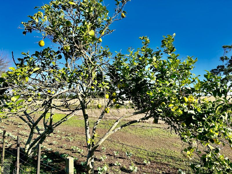 Farm For Sale in George Rural - Photo 10