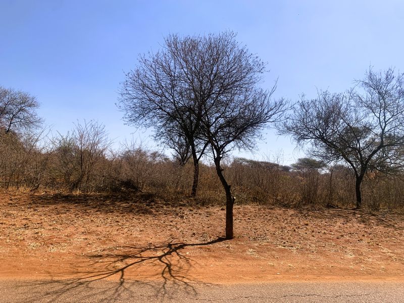 Vacant Land Residential For Sale in Mookgopong Central - Photo 2