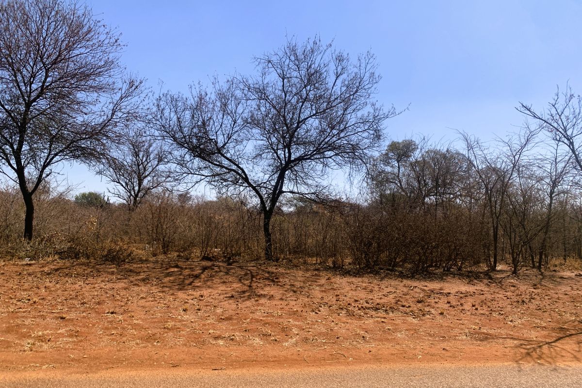 Vacant Land Residential For Sale in Mookgopong Central - Photo 3