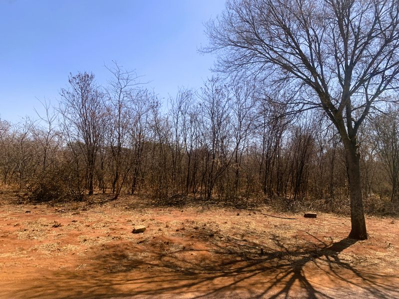 Vacant Land Residential For Sale in Mookgopong Central - Photo 3