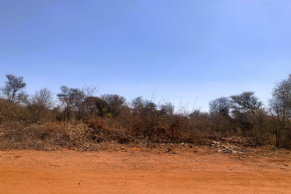 Vacant Land Residential For Sale in Mookgopong Central - Photo 5