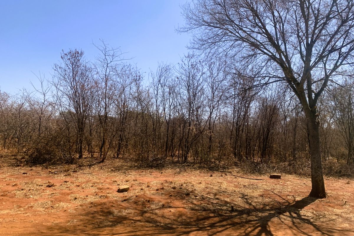 Vacant Land Residential For Sale in Mookgopong Central - Photo 2