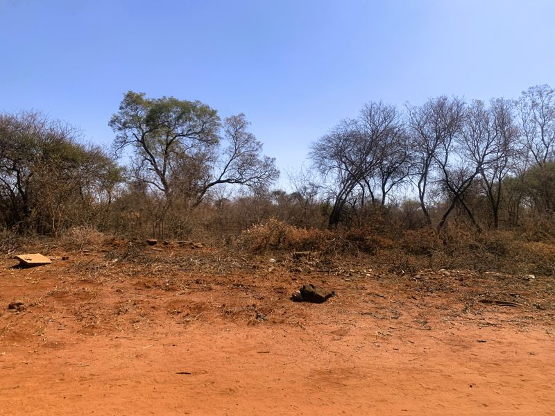 Vacant Land Residential For Sale in Mookgopong Central - Photo 5