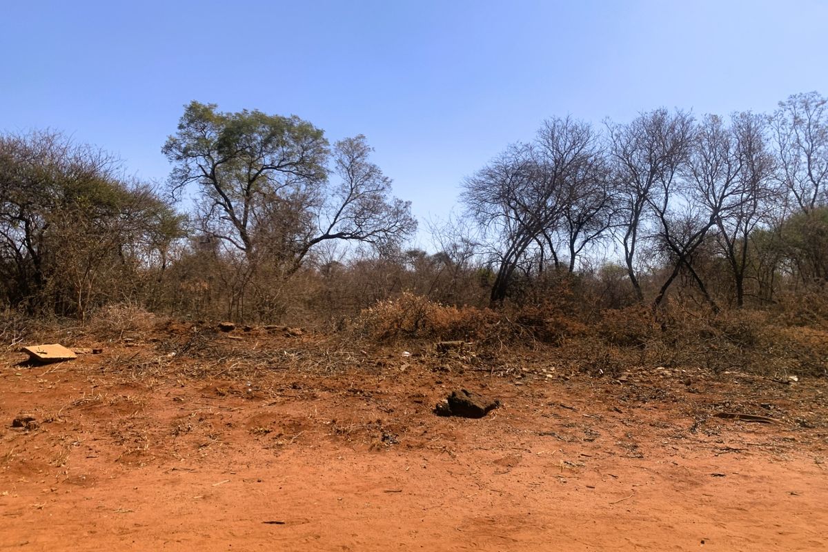 Vacant Land Residential For Sale in Mookgopong Central - Photo 5