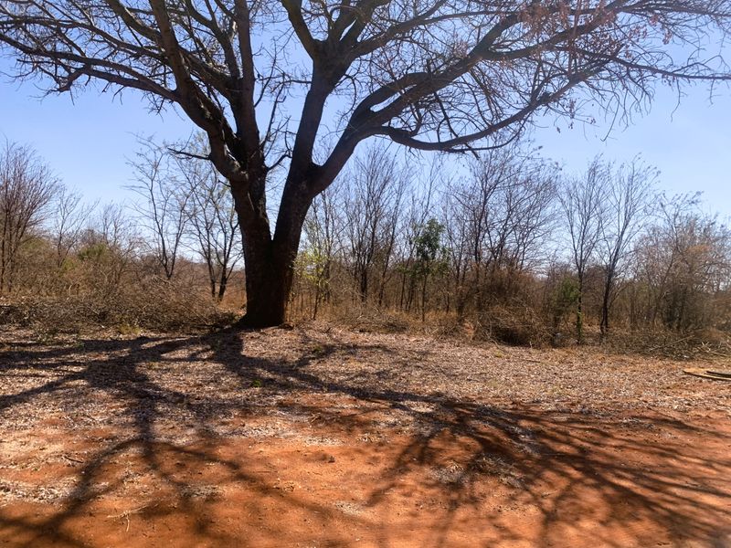 Vacant Land Residential For Sale in Mookgopong Central - Photo 3