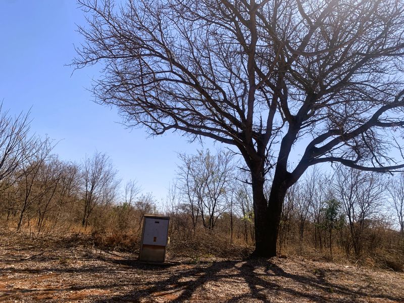 Vacant Land Residential For Sale in Mookgopong Central - Photo 2