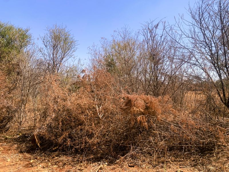 Vacant Land Residential For Sale in Mookgopong Central - Photo 8