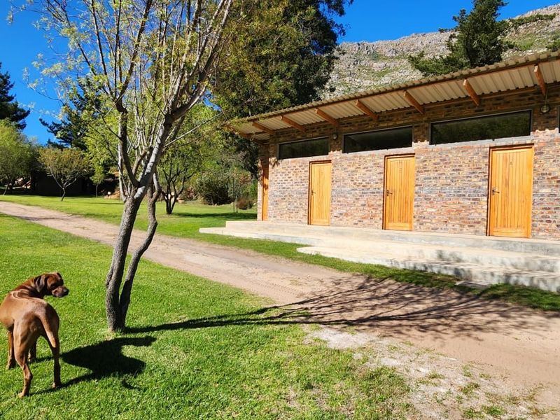 Commercial For Sale in Citrusdal Central - Photo 7