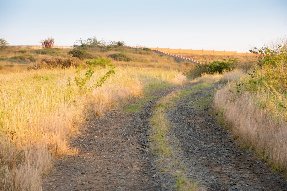 Vacant Land Residential For Sale in Sheffield Beach - Photo 3