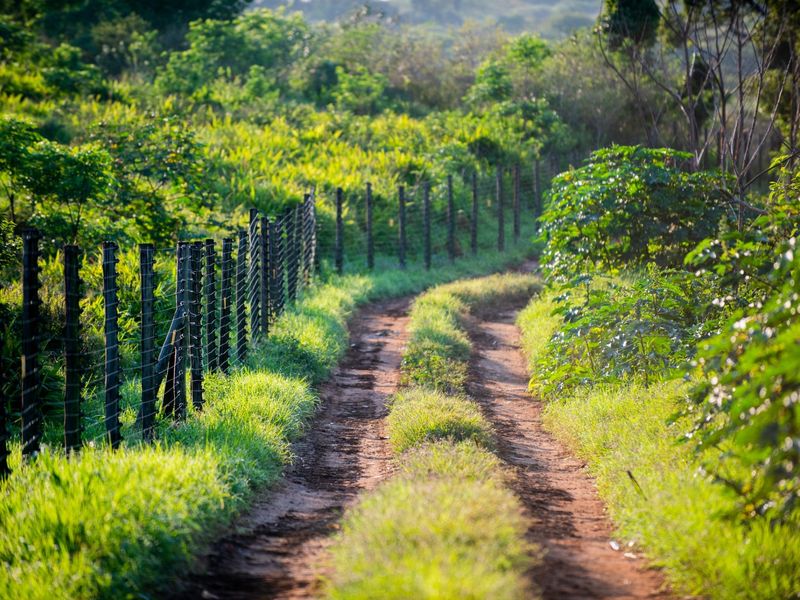 Vacant Land Residential For Sale in Sheffield Beach - Photo 6