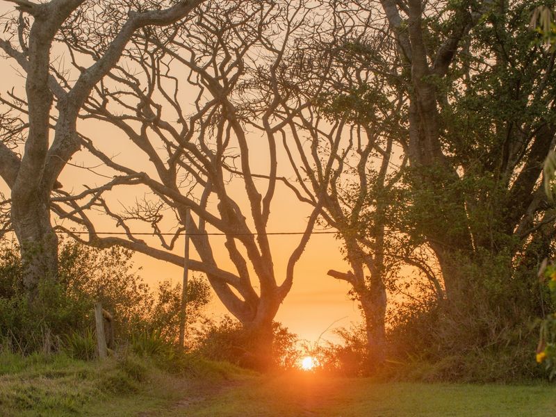 Vacant Land Residential For Sale in Sheffield Beach - Photo 2