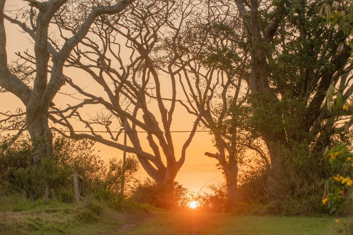 Vacant Land Residential For Sale in Sheffield Beach - Photo 2
