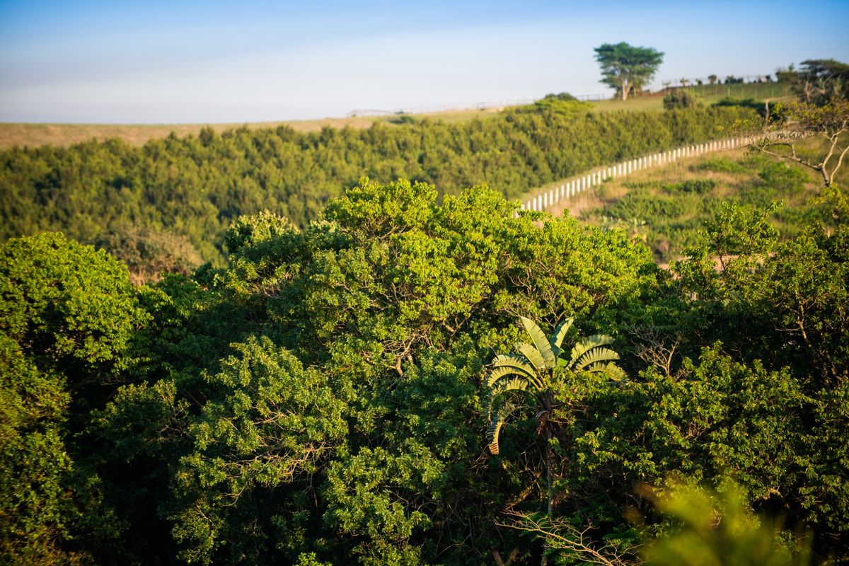 Vacant Land Residential For Sale in Sheffield Beach - Photo 4