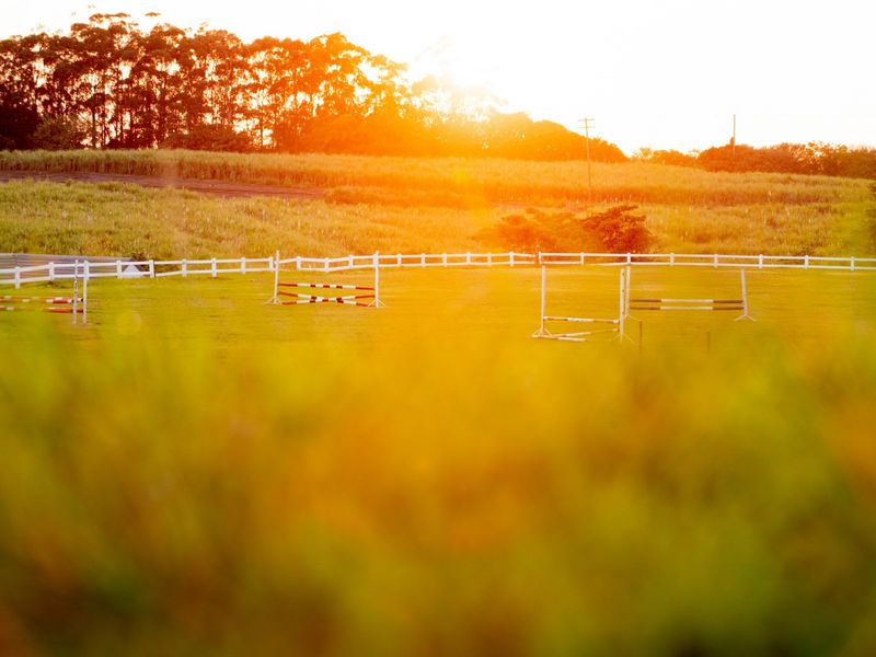 Vacant Land Residential For Sale in Sheffield Beach - Photo 3