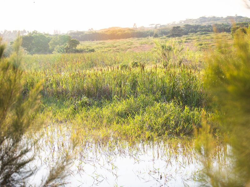 Vacant Land Residential For Sale in Sheffield Beach - Photo 5
