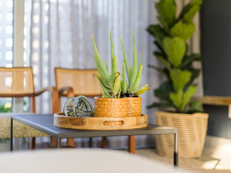 House For Sale in Sheffield Beach - Photo 10