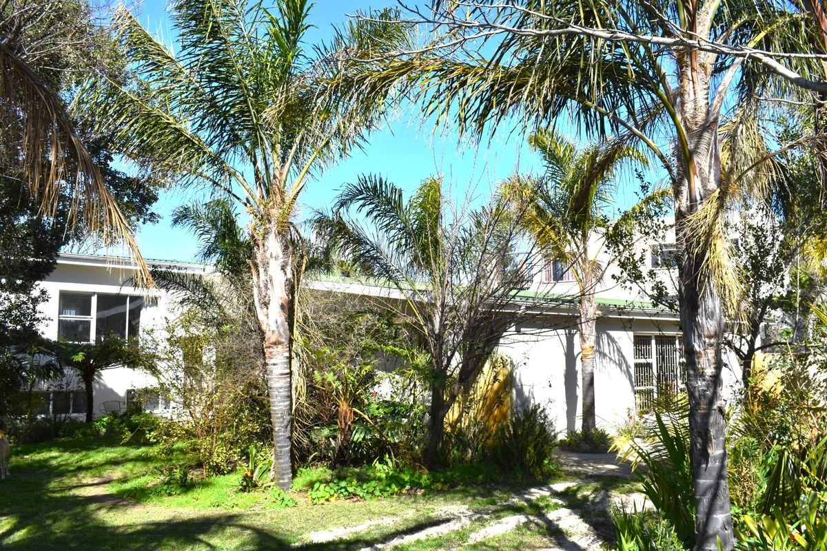 A view of the rear exterior of the house, featuring a garden area with mature palm trees and established landscaping.