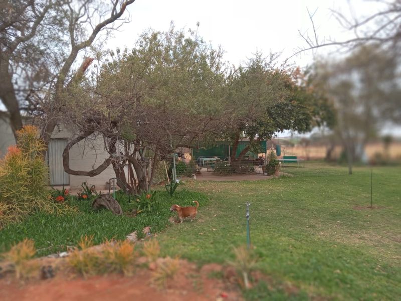 Farm For Sale in Groblersdal Central - Photo 3