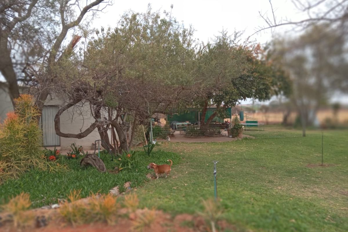 Farm For Sale in Groblersdal Central - Photo 3