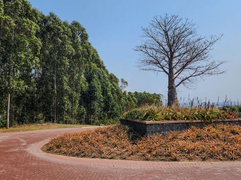Vacant Land Residential For Sale in Elaleni Coastal Forest Estate - Photo 10