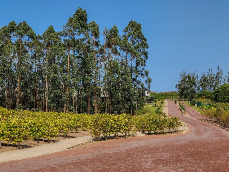 Vacant Land Residential For Sale in Elaleni Coastal Forest Estate - Photo 9