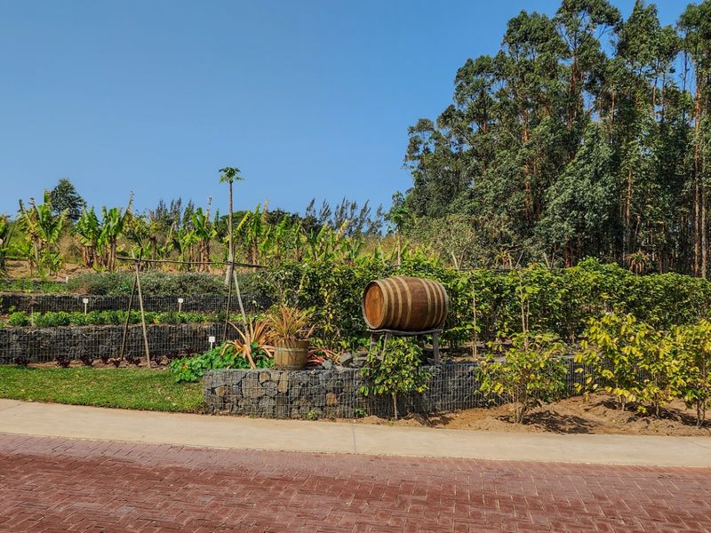 Vacant Land Residential For Sale in Elaleni Coastal Forest Estate - Photo 8