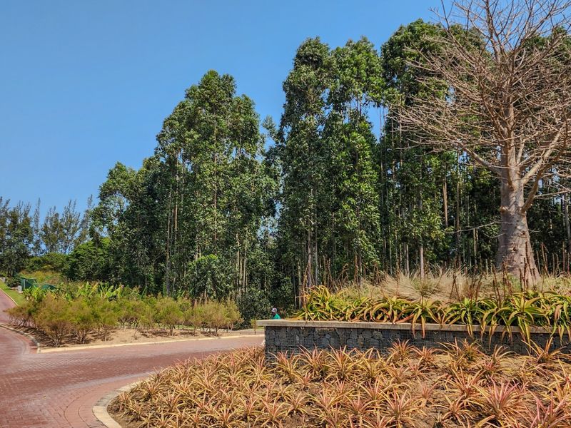 Vacant Land Residential For Sale in Elaleni Coastal Forest Estate - Photo 7