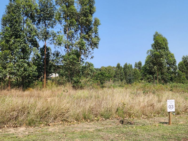 Vacant Land Residential For Sale in Elaleni Coastal Forest Estate - Photo 6