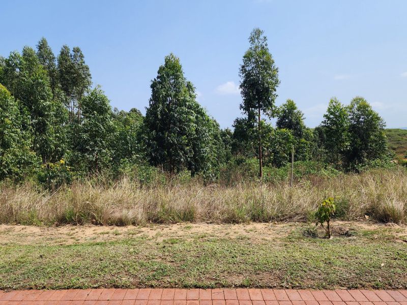Vacant Land Residential For Sale in Elaleni Coastal Forest Estate - Photo 9