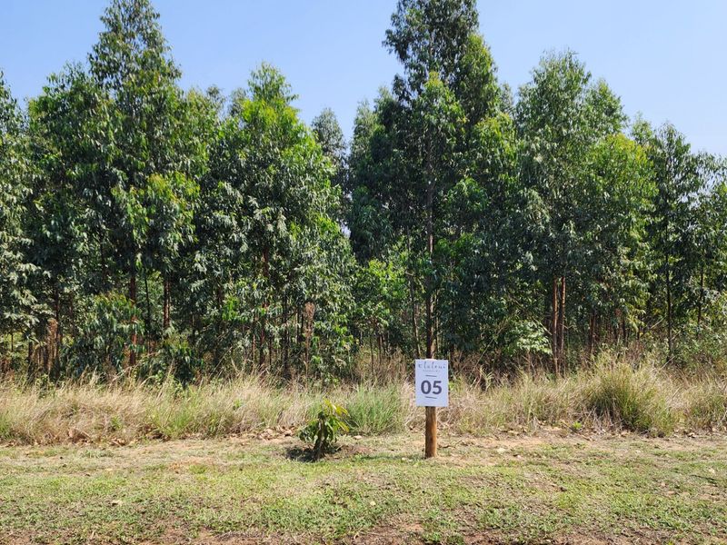 Vacant Land Residential For Sale in Elaleni Coastal Forest Estate - Photo 8