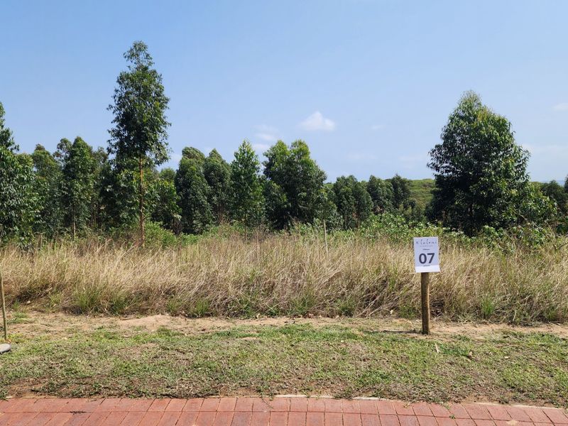 Vacant Land Residential For Sale in Elaleni Coastal Forest Estate - Photo 4