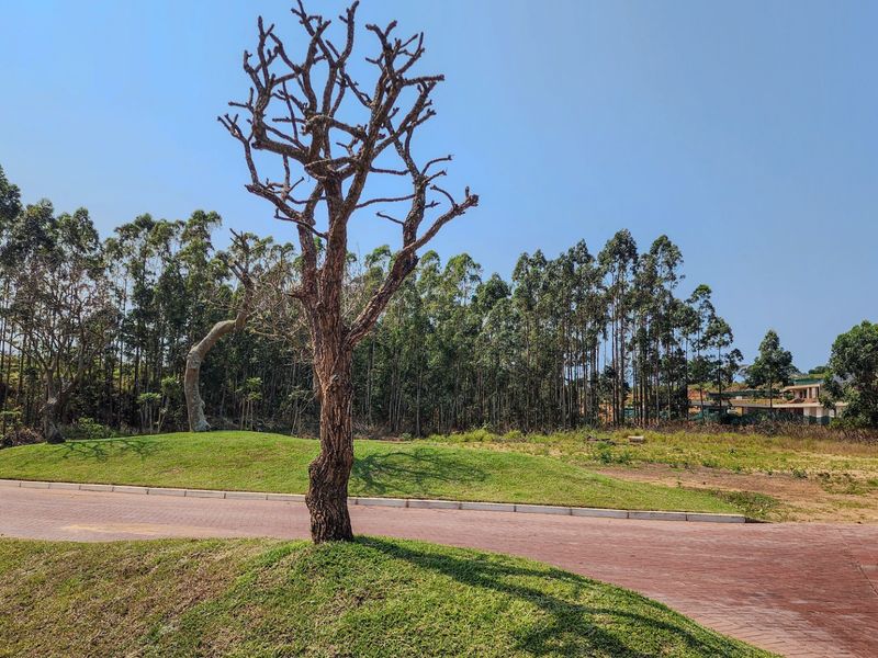 Vacant Land Residential For Sale in Elaleni Coastal Forest Estate - Photo 9