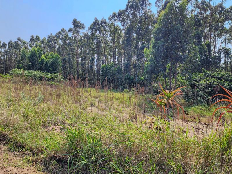 Vacant Land Residential For Sale in Elaleni Coastal Forest Estate - Photo 8