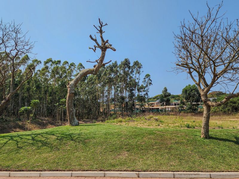 Vacant Land Residential For Sale in Elaleni Coastal Forest Estate - Photo 10