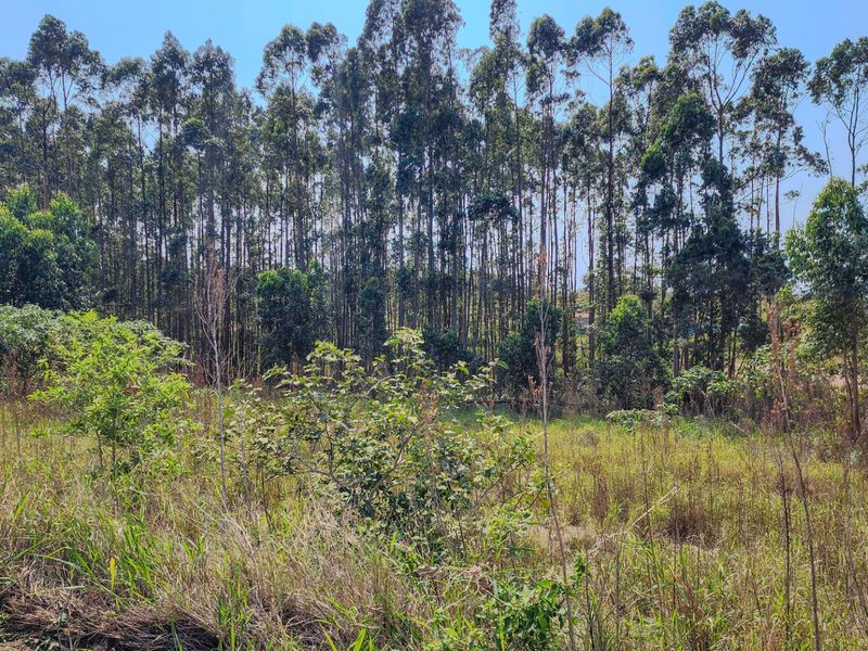 Vacant Land Residential For Sale in Elaleni Coastal Forest Estate - Photo 7