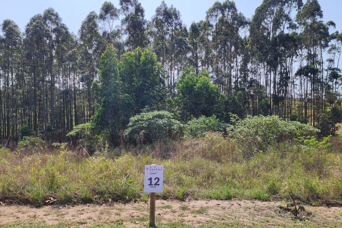 Vacant Land Residential For Sale in Elaleni Coastal Forest Estate - Photo 5