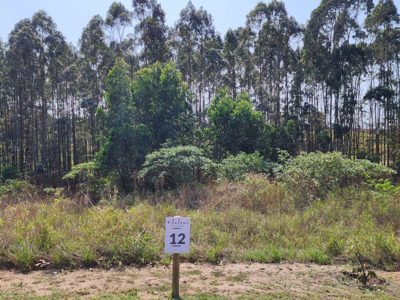 Vacant Land Residential For Sale in Elaleni Coastal Forest Estate - Photo 5