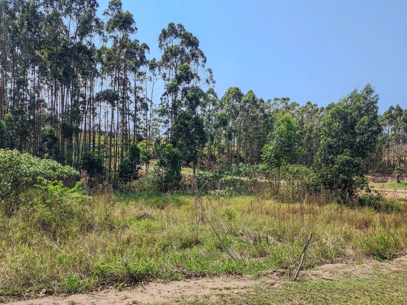 Vacant Land Residential For Sale in Elaleni Coastal Forest Estate - Photo 6