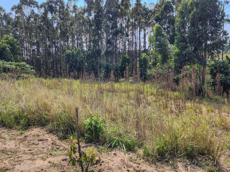 Vacant Land Residential For Sale in Elaleni Coastal Forest Estate - Photo 3