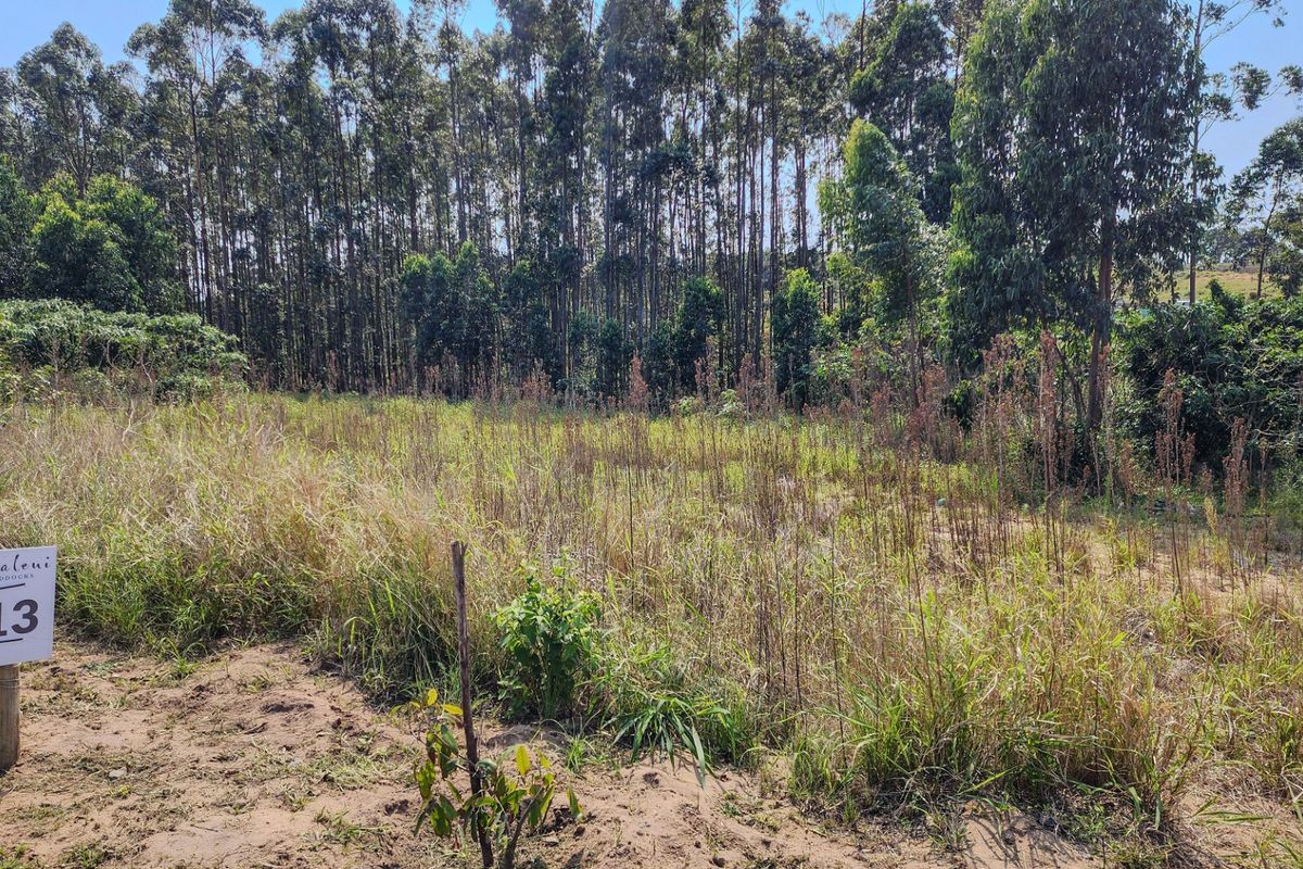 Vacant Land Residential For Sale in Elaleni Coastal Forest Estate - Photo 3