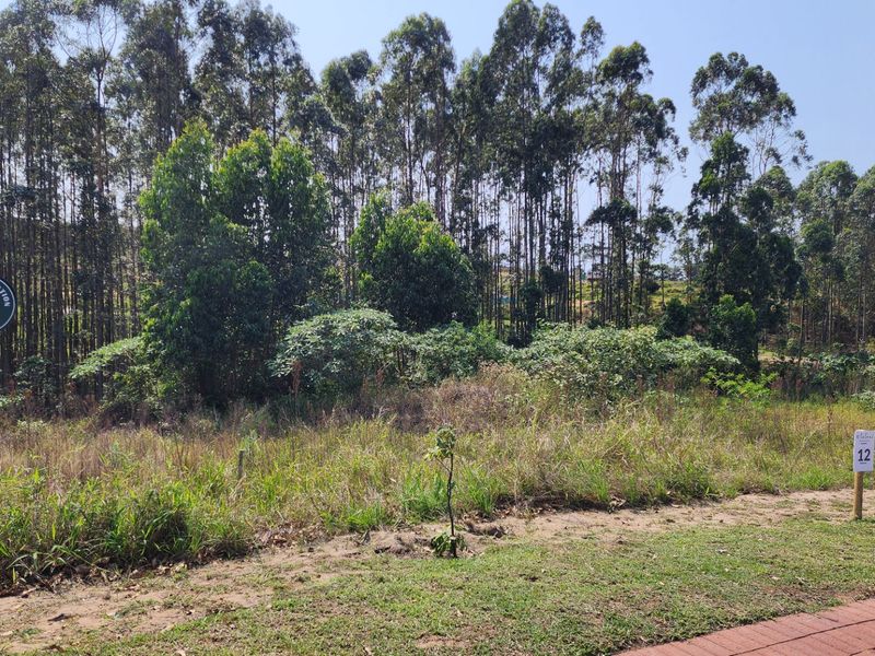 Vacant Land Residential For Sale in Elaleni Coastal Forest Estate - Photo 4